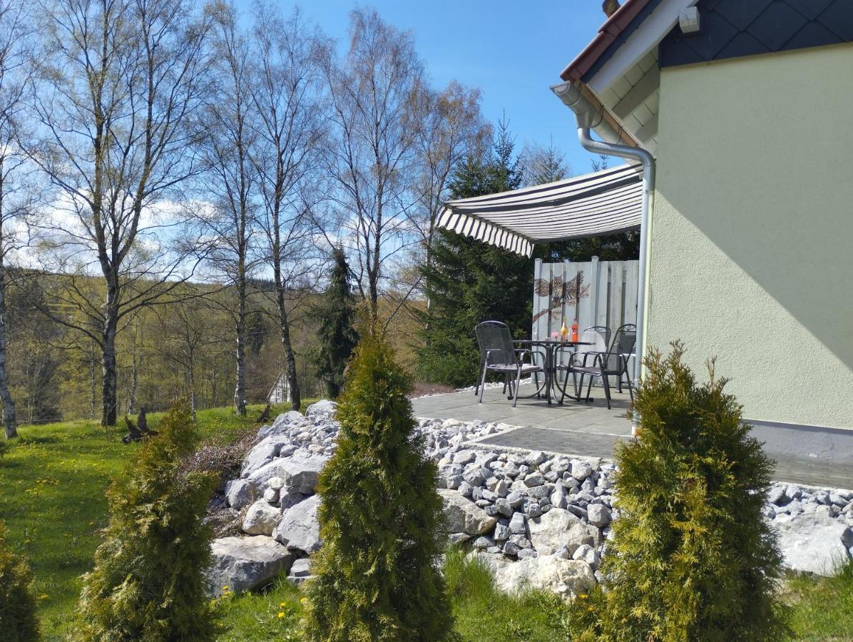 Behagliches Ferienhaus Zaunkoenig -Mit Kamin Und Sauna Tanne Kültér fotó